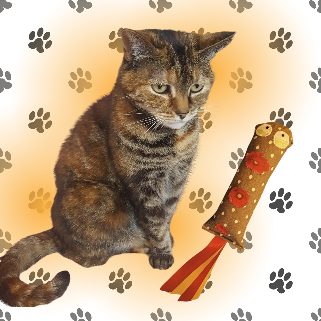 Masie's Monsters - Handmade Catnip Toys for Playful Paws